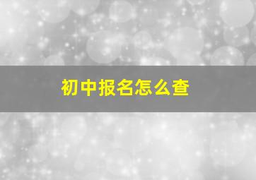 初中报名怎么查