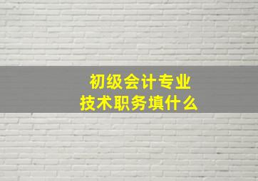 初级会计专业技术职务填什么