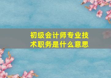 初级会计师专业技术职务是什么意思