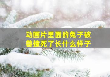 动画片里面的兔子被兽撞死了长什么样子