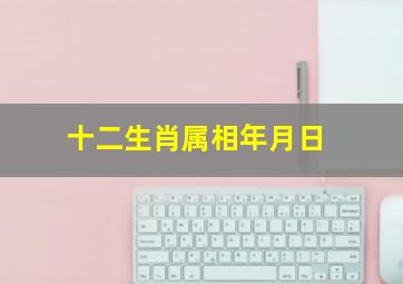 十二生肖属相年月日