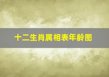 十二生肖属相表年龄图