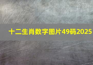 十二生肖数字图片49码2025