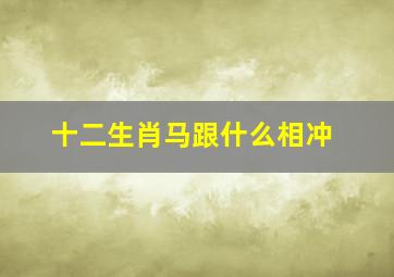 十二生肖马跟什么相冲