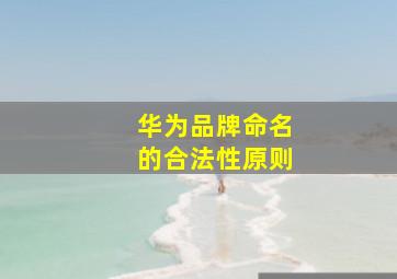 华为品牌命名的合法性原则