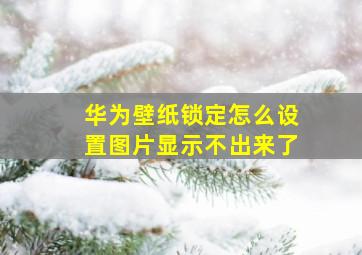 华为壁纸锁定怎么设置图片显示不出来了