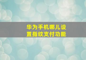 华为手机哪儿设置指纹支付功能