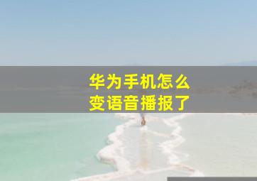 华为手机怎么变语音播报了