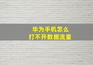 华为手机怎么打不开数据流量