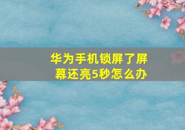 华为手机锁屏了屏幕还亮5秒怎么办