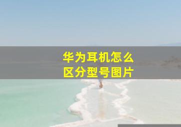 华为耳机怎么区分型号图片