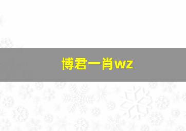 博君一肖wz