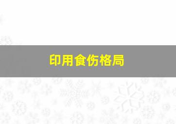 印用食伤格局