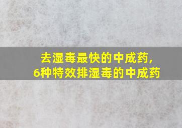 去湿毒最快的中成药,6种特效排湿毒的中成药