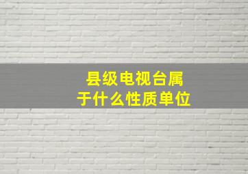 县级电视台属于什么性质单位