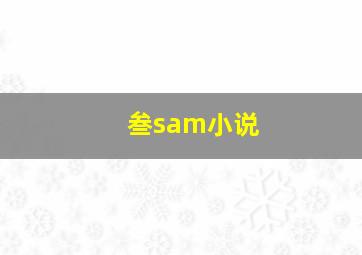 叁sam小说