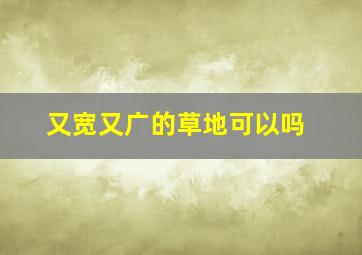 又宽又广的草地可以吗