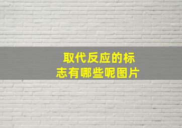 取代反应的标志有哪些呢图片