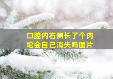 口腔内右侧长了个肉坨会自己消失吗图片