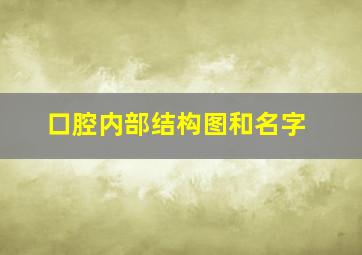 口腔内部结构图和名字