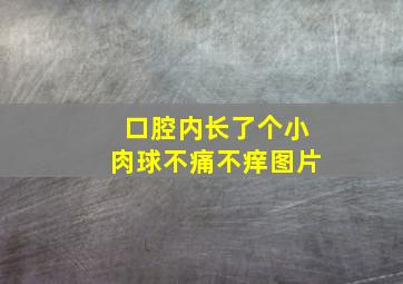 口腔内长了个小肉球不痛不痒图片