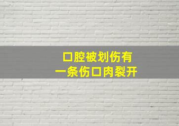 口腔被划伤有一条伤口肉裂开