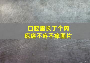 口腔里长了个肉疙瘩不疼不痒图片