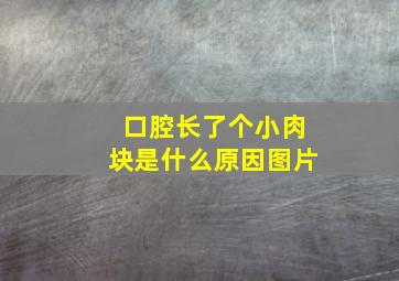 口腔长了个小肉块是什么原因图片