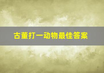 古董打一动物最佳答案