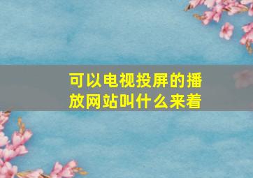 可以电视投屏的播放网站叫什么来着