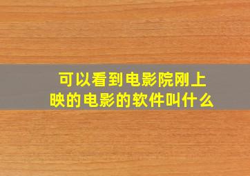 可以看到电影院刚上映的电影的软件叫什么