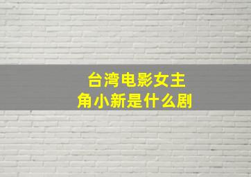 台湾电影女主角小新是什么剧