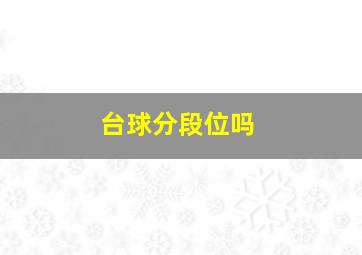 台球分段位吗