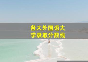 各大外国语大学录取分数线