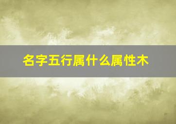 名字五行属什么属性木