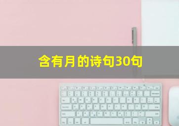 含有月的诗句30句