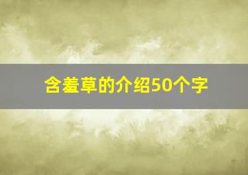 含羞草的介绍50个字