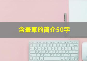 含羞草的简介50字