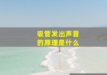 吸管发出声音的原理是什么