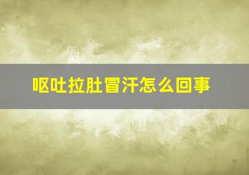 呕吐拉肚冒汗怎么回事