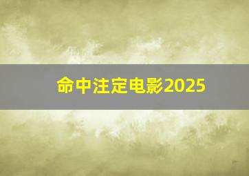 命中注定电影2025