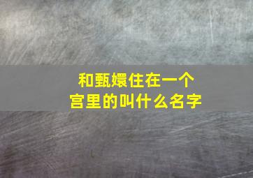 和甄嬛住在一个宫里的叫什么名字