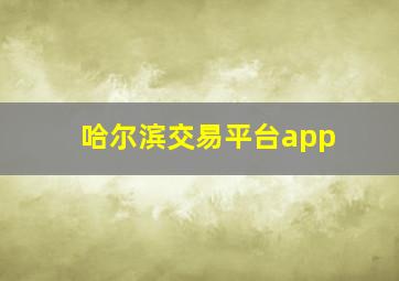 哈尔滨交易平台app