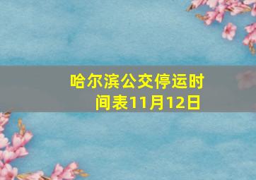 哈尔滨公交停运时间表11月12日