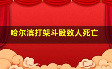 哈尔滨打架斗殴致人死亡