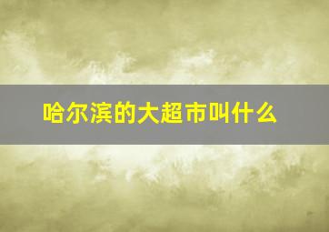 哈尔滨的大超市叫什么