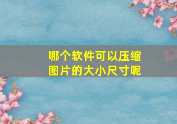 哪个软件可以压缩图片的大小尺寸呢