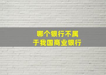 哪个银行不属于我国商业银行