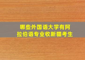 哪些外国语大学有阿拉伯语专业收新疆考生