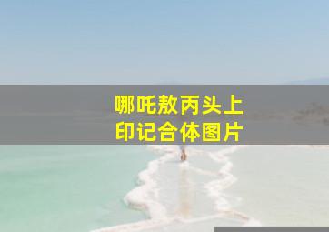 哪吒敖丙头上印记合体图片